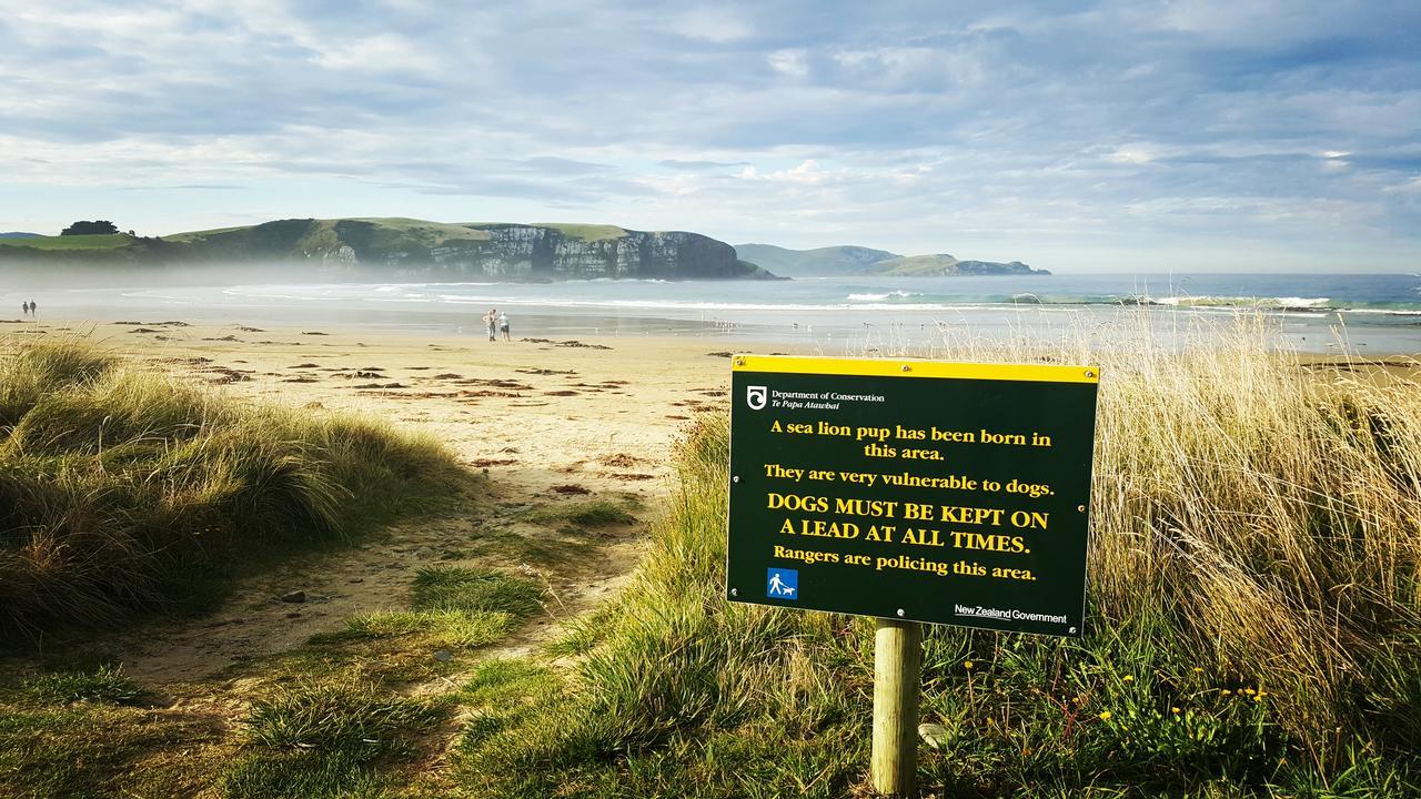Kaka Point Spa Accommodation - Catlins Екстер'єр фото