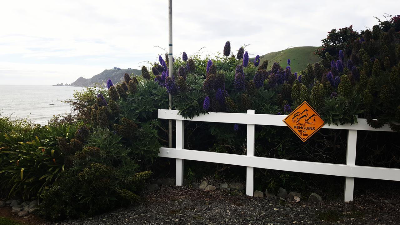 Kaka Point Spa Accommodation - Catlins Екстер'єр фото