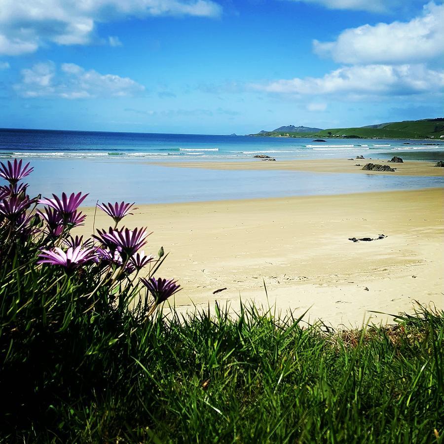 Kaka Point Spa Accommodation - Catlins Екстер'єр фото