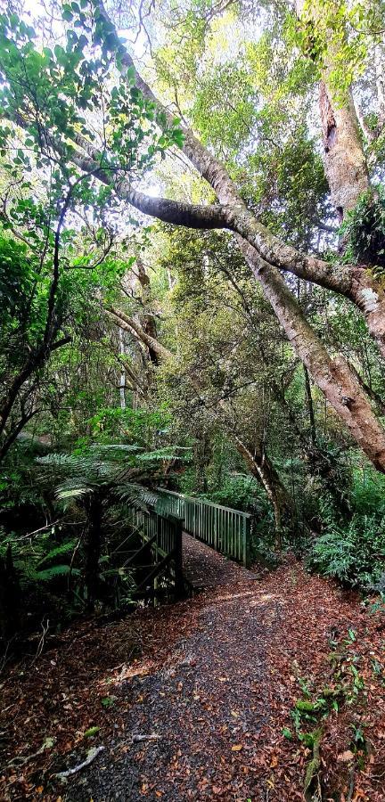 Kaka Point Spa Accommodation - Catlins Екстер'єр фото